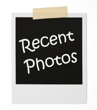 Recent photos.jpg