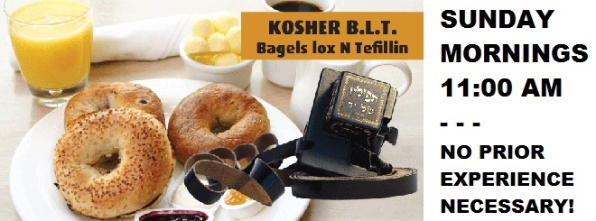 BLT Banner.jpg